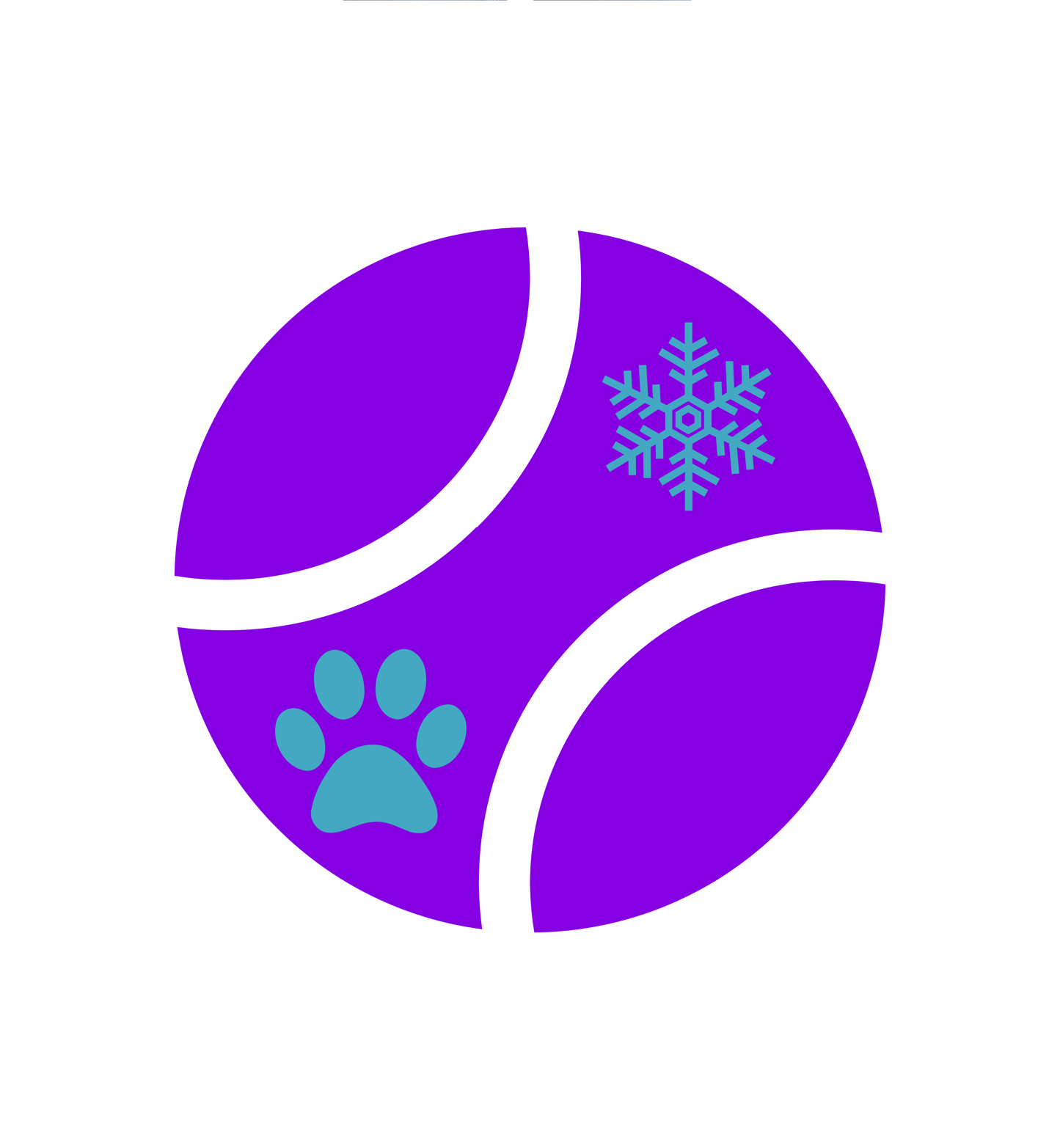 Lake Effect Flyball NAFA CanAm 2024 Tee