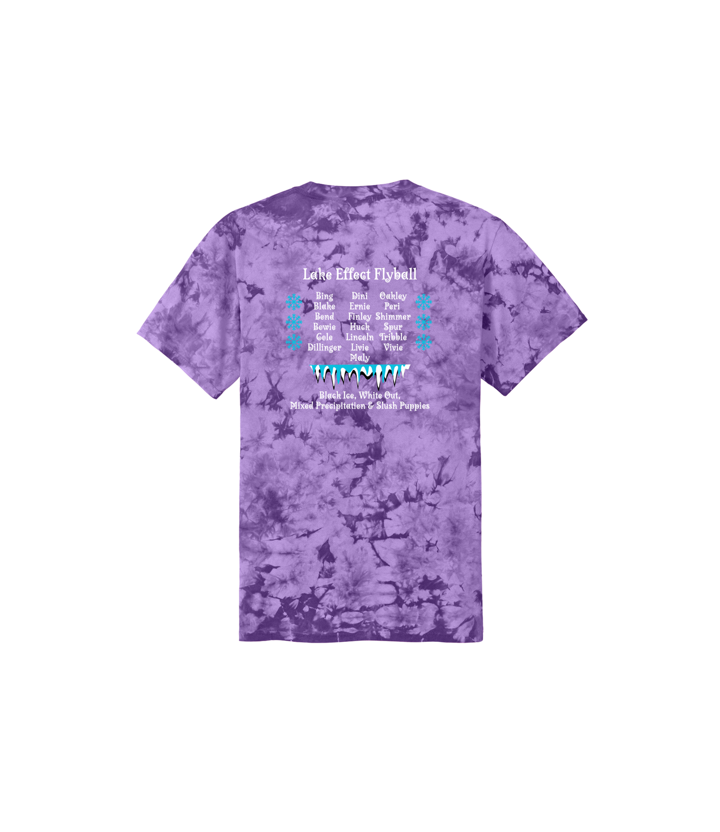 Lake Effect Flyball 2025 Black Out White Out Tee
